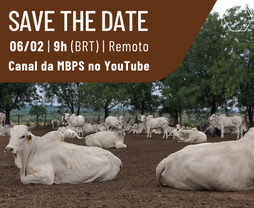 Save the date Guia de Bem-estar Animal