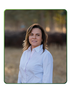 Sustentabilidade na pecuária em 2026: um ano de ajustes, pressões e caminhos possíveis