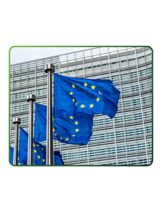 Do debate à prática: os aprendizados dos Diálogos Inclusivos sobre EUDR na pecuária brasileira