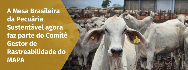 Noticias_rastreab_Newsletter