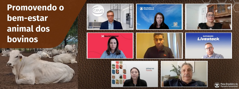 Webinar_Noticias_Newsletter