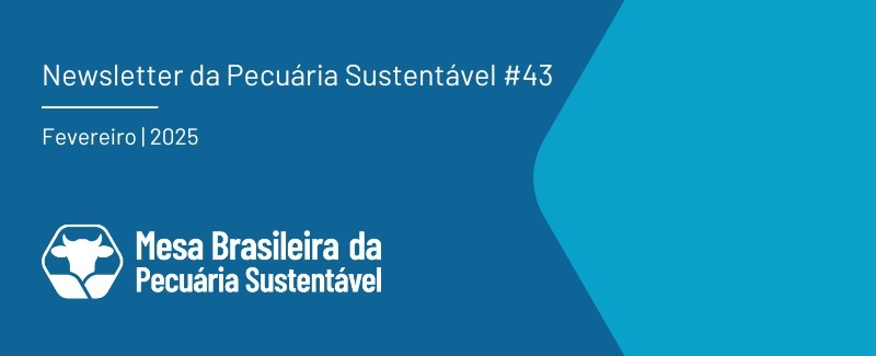 titulo_newsletter_43