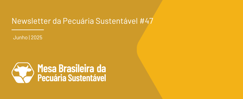 Cabecalho_newsletter_1