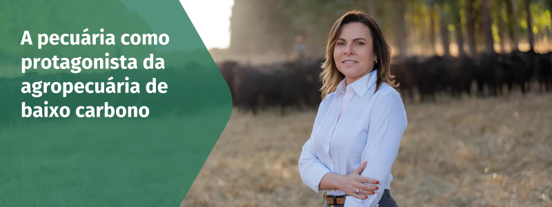 A pecuária como protagonista da agropecuária de baixo carbono