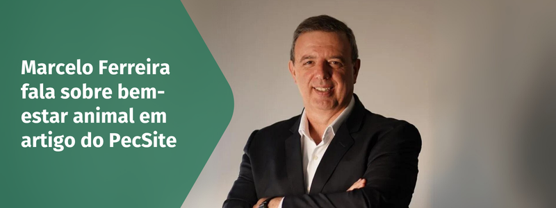 Marcelo Ferreira, coordenador do GT de BEA 