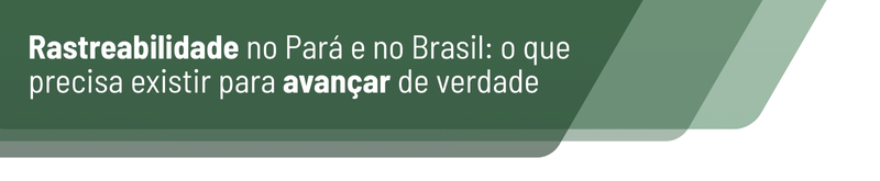 Rastreabilidade no Pará e no Brasil: o que precisa existir para avançar de verdade