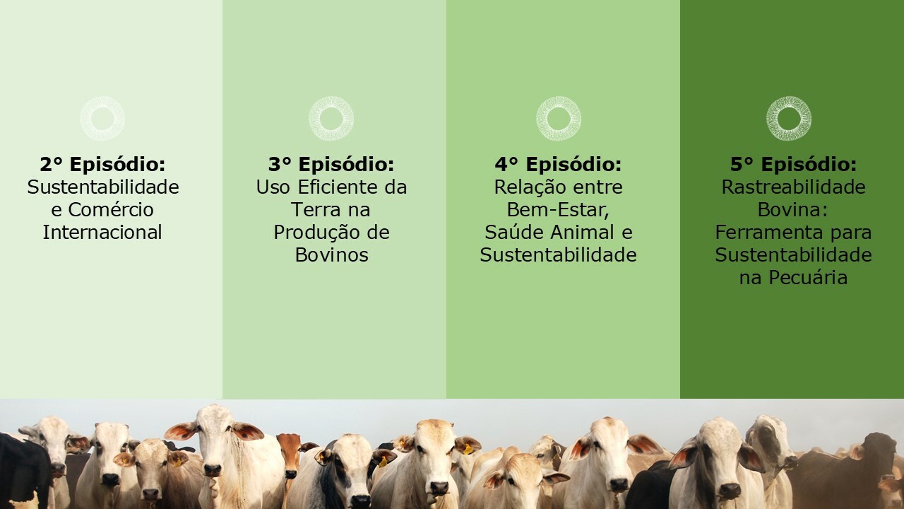Cronograma - Série Top Sustainable Livestock