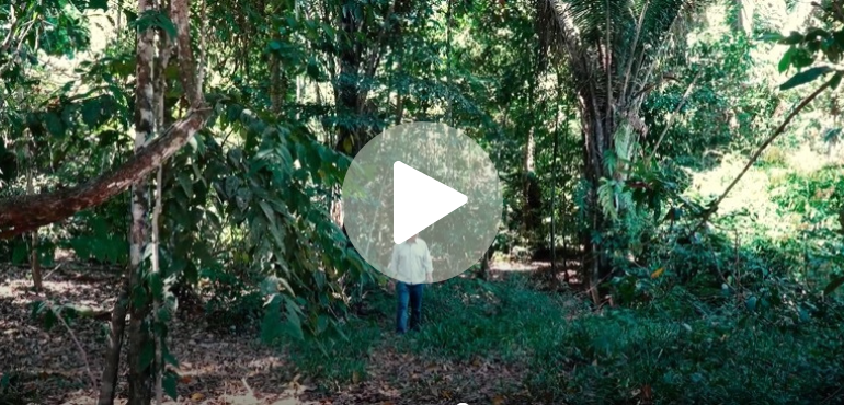 Teaser - Episódio 1: Clima e Mercado de Carbono da Série Top Sustainable Livestock