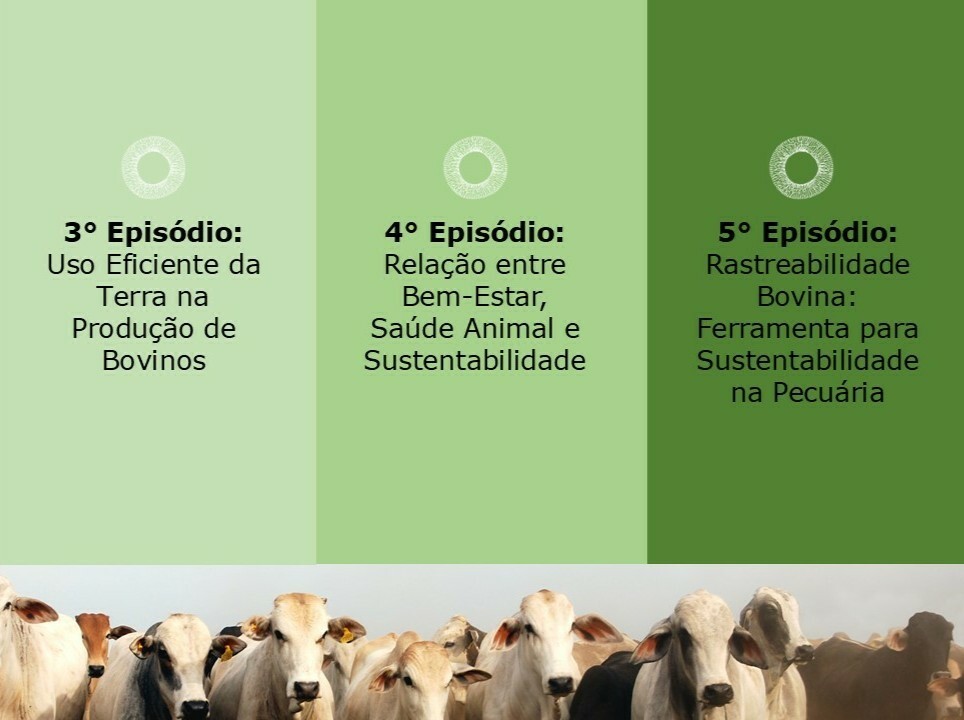 Cronograma - Série Top Sustainable Livestock