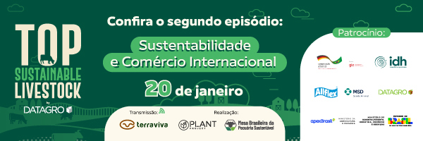 tsl-comercio-internacional