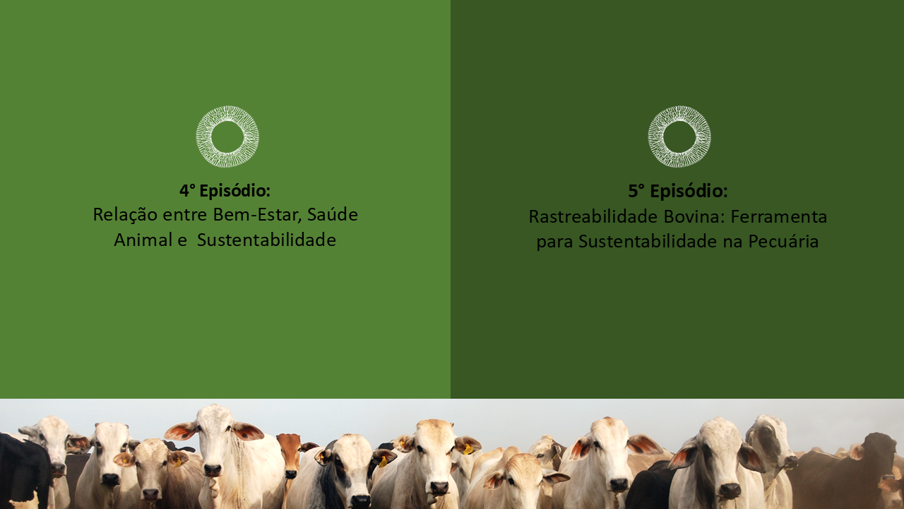 Cronograma - Série Top Sustainable Livestock