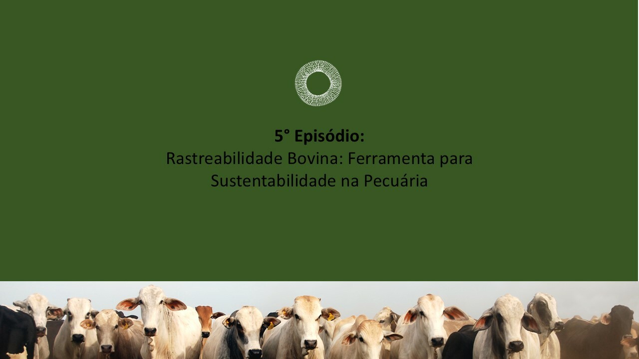 episodio-5-tsl