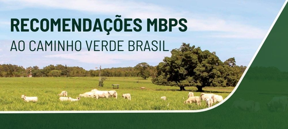 RECOMENDAÇÕES MBPS AO CAMINHO VERDE BRASIL