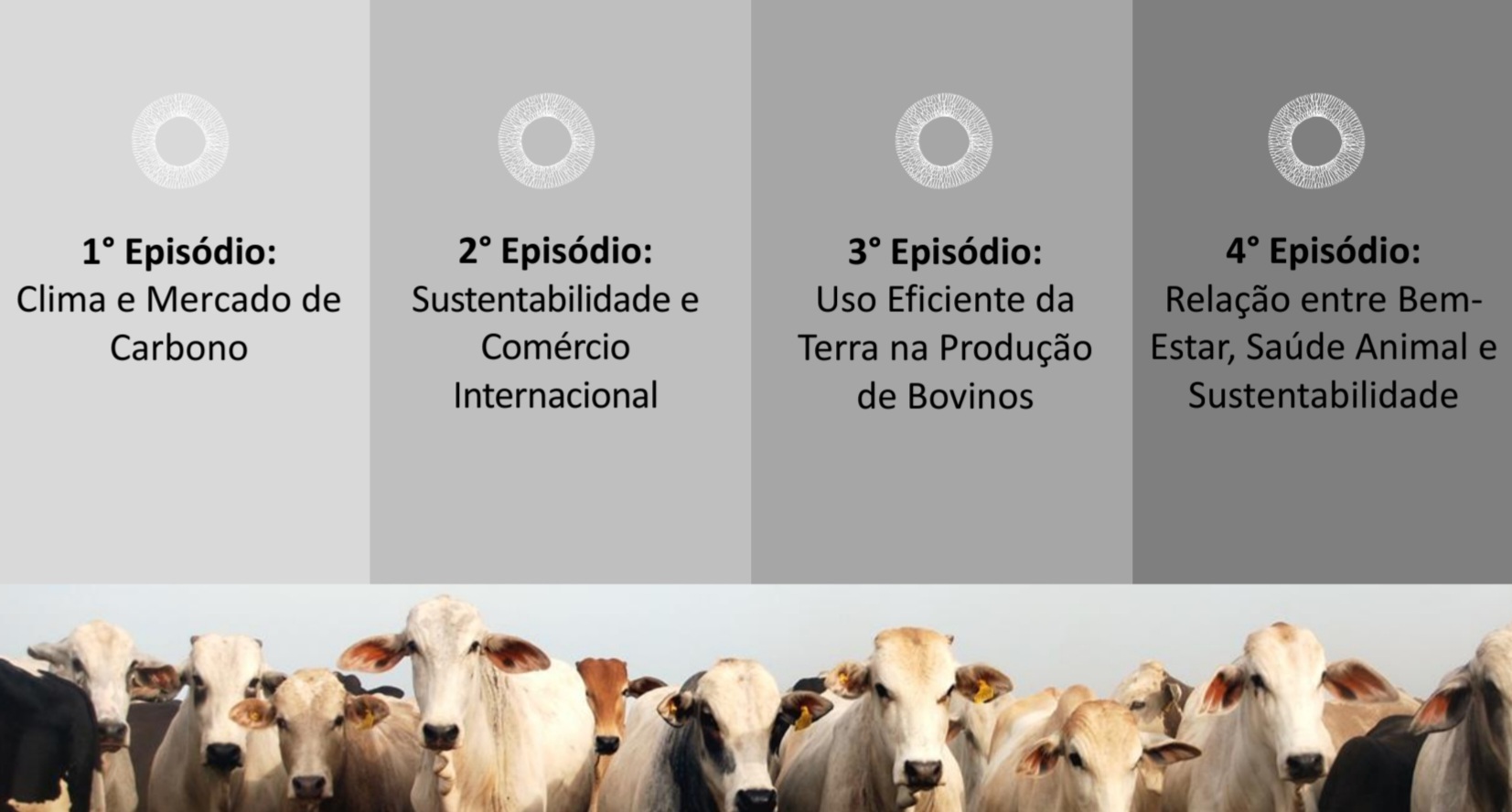Episódios 1, 2, 3 e 4 da série