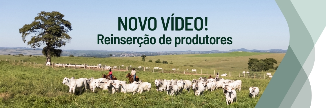 cabecalho_reinsercao
