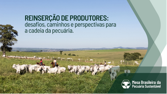 Prévia do Vídeo sobre Reinserção de Produtores
