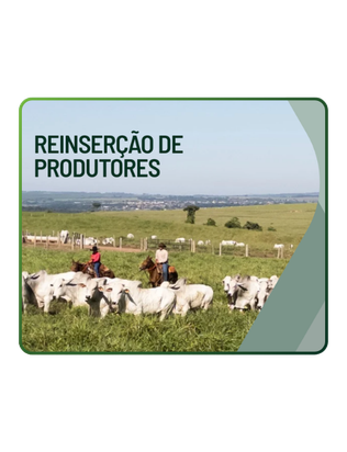 Reinserção de produtores: desafios, caminhos e perspectivas da cadeia da pecuária
