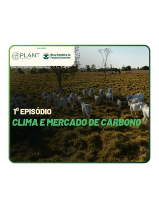 Episódio 1: Clima e Mercado de Carbono – Série Top Sustainable Livestock