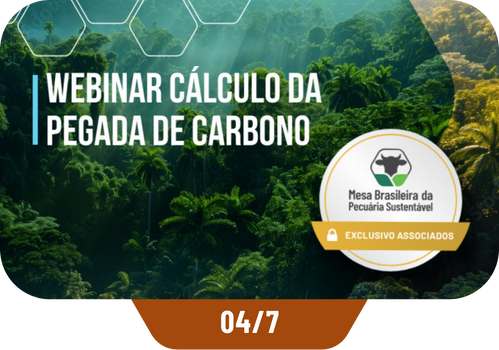 GT Clima - Webinar 3 - Cálculo da Pegada de Carbono