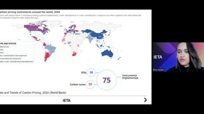 Webinar-Carbono-2-750x375